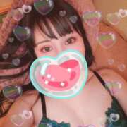 ヒメ日記 2025/12/28 12:39 投稿 つくし 石亭