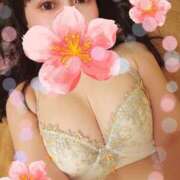 つくし 救世主になり損ねた話 石亭