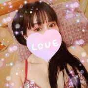 ヒメ日記 2026/02/27 09:17 投稿 つくし 石亭