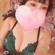 ヒメ日記 2026/03/12 09:29 投稿 つくし 石亭