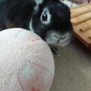 ヒメ日記 2025/01/01 21:00 投稿 イヴ★妖艶な人妻 RASTA（ラスタ）