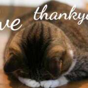 ヒメ日記 2025/02/03 09:20 投稿 イヴ★妖艶な人妻 RASTA（ラスタ）