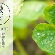 ヒメ日記 2025/04/20 13:20 投稿 オトハ★サービス抜群No.1 RASTA（ラスタ）