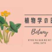 ヒメ日記 2025/04/24 15:40 投稿 オトハ★サービス抜群No.1 RASTA（ラスタ）