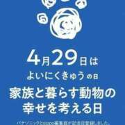 ヒメ日記 2025/04/29 14:00 投稿 オトハ★サービス抜群No.1 RASTA（ラスタ）