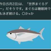 ヒメ日記 2025/05/02 14:20 投稿 オトハ★サービス抜群No.1 RASTA（ラスタ）