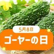 ヒメ日記 2025/05/08 12:50 投稿 オトハ★サービス抜群No.1 RASTA（ラスタ）