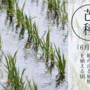 ヒメ日記 2025/06/05 12:30 投稿 オトハ★サービス抜群No.1 RASTA（ラスタ）