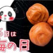 ヒメ日記 2025/06/06 12:30 投稿 オトハ★サービス抜群No.1 RASTA（ラスタ）