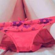 ヒメ日記 2025/06/29 10:30 投稿 オトハ★サービス抜群No.1 RASTA（ラスタ）