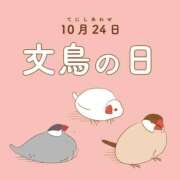 ヒメ日記 2025/10/24 13:20 投稿 オトハ★サービス抜群No.1 RASTA（ラスタ）