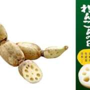 ヒメ日記 2025/11/17 13:01 投稿 オトハ★サービス抜群No.1 RASTA（ラスタ）