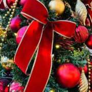 ヒメ日記 2025/11/24 22:50 投稿 オトハ★サービス抜群No.1 RASTA（ラスタ）