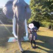 ヒメ日記 2025/07/03 20:10 投稿 月宮 BBW横浜店