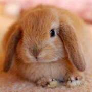 ヒメ日記 2025/02/19 22:50 投稿 かえで★高身長スレンダー美女 RASTA（ラスタ）