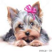 ヒメ日記 2025/02/19 23:10 投稿 かえで★高身長スレンダー美女 RASTA（ラスタ）