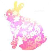 ヒメ日記 2025/03/31 22:50 投稿 かえで★高身長スレンダー美女 RASTA（ラスタ）