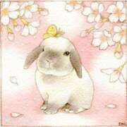 ヒメ日記 2025/04/07 22:40 投稿 かえで★高身長スレンダー美女 RASTA（ラスタ）