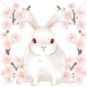 ヒメ日記 2025/04/12 19:50 投稿 かえで★高身長スレンダー美女 RASTA（ラスタ）