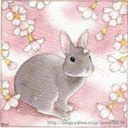 ヒメ日記 2025/04/19 23:00 投稿 かえで★高身長スレンダー美女 RASTA（ラスタ）