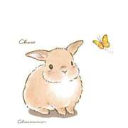 ヒメ日記 2025/06/25 19:31 投稿 かえで★高身長スレンダー美女 RASTA（ラスタ）