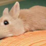 ヒメ日記 2025/06/30 21:50 投稿 かえで★高身長スレンダー美女 RASTA（ラスタ）