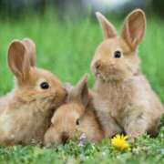 ヒメ日記 2025/08/15 20:50 投稿 かえで★高身長スレンダー美女 RASTA（ラスタ）