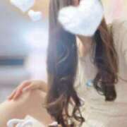 ヒメ日記 2024/12/15 23:09 投稿 こうめ トマトなび