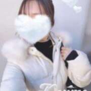 ヒメ日記 2024/12/20 00:12 投稿 こうめ トマトなび