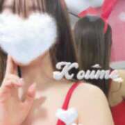 ヒメ日記 2024/12/20 07:03 投稿 こうめ トマトなび