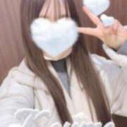 ヒメ日記 2024/12/27 21:00 投稿 こうめ トマトなび