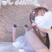 ヒメ日記 2025/02/04 21:30 投稿 こうめ トマトなび