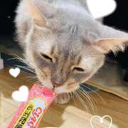 ヒメ日記 2025/02/22 23:30 投稿 こうめ トマトなび