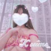 ヒメ日記 2025/02/24 21:02 投稿 こうめ トマトなび