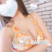 ヒメ日記 2025/02/27 22:01 投稿 こうめ トマトなび