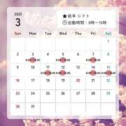 ヒメ日記 2025/03/01 19:02 投稿 こうめ トマトなび