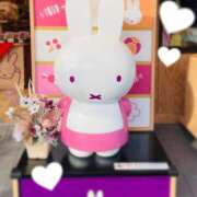 ヒメ日記 2025/03/02 21:00 投稿 こうめ トマトなび