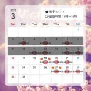 ヒメ日記 2025/03/10 15:02 投稿 こうめ トマトなび