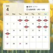 ヒメ日記 2025/03/28 22:05 投稿 こうめ トマトなび