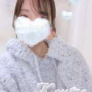 ヒメ日記 2025/04/03 20:03 投稿 こうめ トマトなび