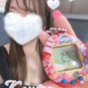 ヒメ日記 2025/04/05 07:02 投稿 こうめ トマトなび