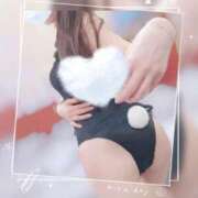 ヒメ日記 2025/05/05 23:53 投稿 こうめ トマトなび