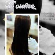 ヒメ日記 2025/05/13 07:01 投稿 こうめ トマトなび