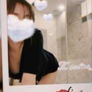 ヒメ日記 2025/05/16 07:01 投稿 こうめ トマトなび