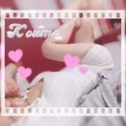 ヒメ日記 2025/06/27 18:00 投稿 こうめ トマトなび