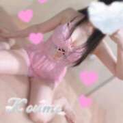 ヒメ日記 2025/07/24 17:39 投稿 こうめ トマトなび