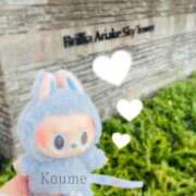 ヒメ日記 2025/07/31 17:05 投稿 こうめ トマトなび