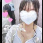 ヒメ日記 2025/07/31 23:11 投稿 こうめ トマトなび