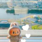 ヒメ日記 2025/08/01 22:02 投稿 こうめ トマトなび