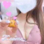 ヒメ日記 2025/08/10 13:28 投稿 こうめ トマトなび